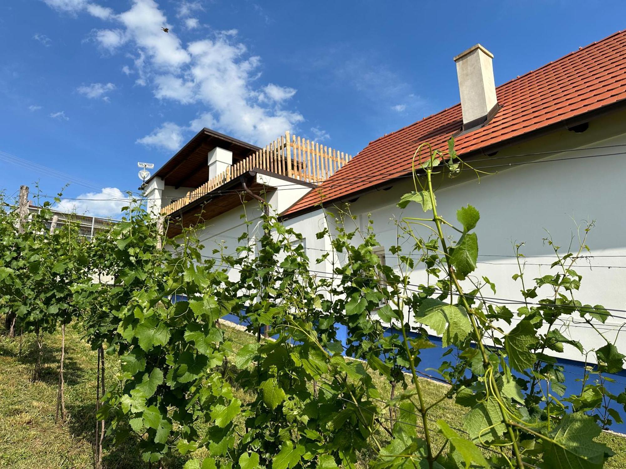 Nad Slovackym Sklipkem Villa Tupesy Eksteriør bilde
